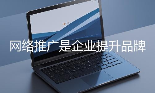 網絡推廣是企業提升品牌影響力、拓展市場的重要手段